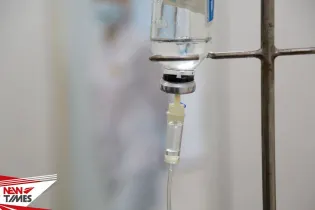 Шакал с подозрением на бешенство напал на детей в Туркестанской области