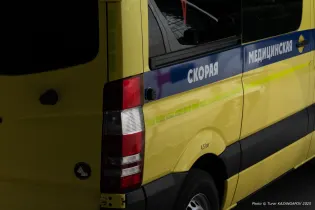 От укуса клеща скончался житель Жамбылской области
