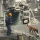Взрыв, черный смог и «молочная река»: хроника скандалов вокруг «Казцинка»