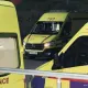 Глава ВОЗ сделал срочное заявление из-за прибытия судна с зараженными хантавирусом