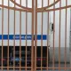 Узбеки устроили массовую драку с бангладешцами после скандала с поцелуем в России