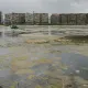 В Астане начали благоустраивать экопарк на Малом Талдыколе