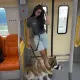 Жительница Астаны сняла реакцию пассажиров LRT на поездку с собакой