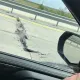 «Трасса смерти?» На платной дороге Астана — Павлодар вздулся бетон