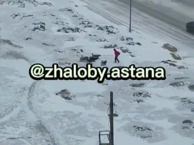 Кадр из видео