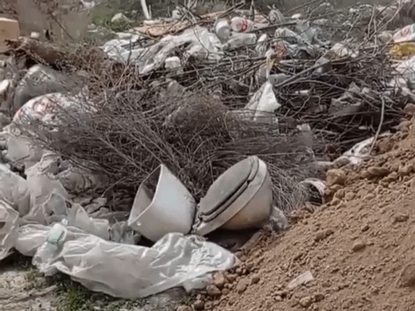 Кадр из видео