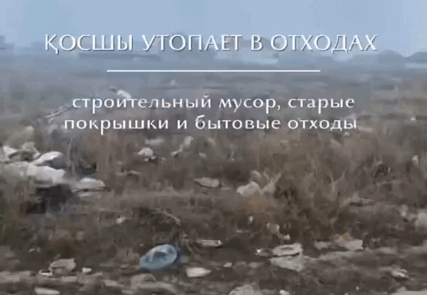 Фото: Кадр видео