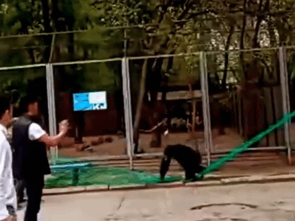 Кадр из видео