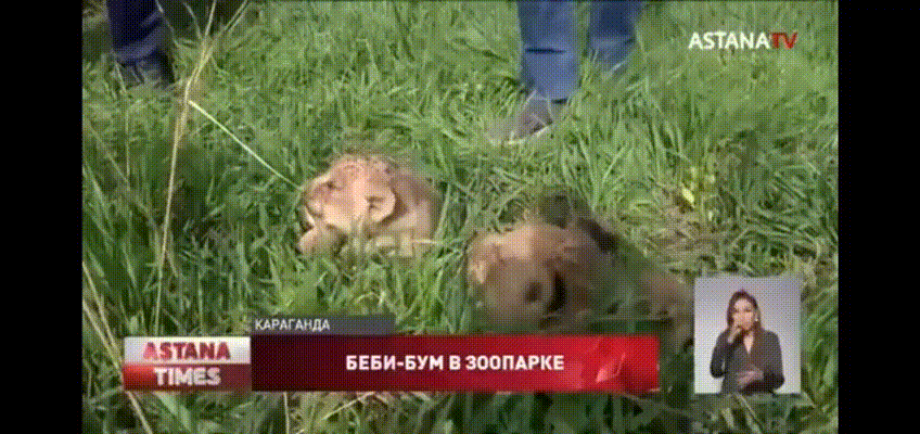 Кадр из видео