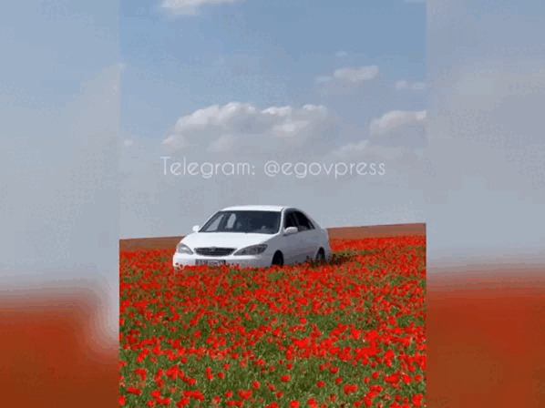 Кадр из видео