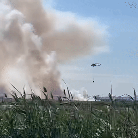 Кадр из видео