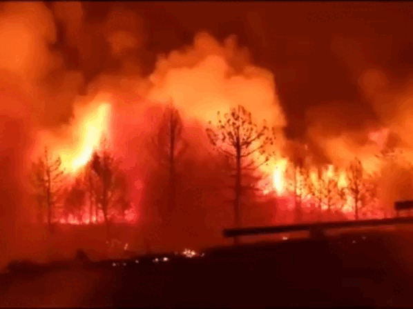 Кадр из видео