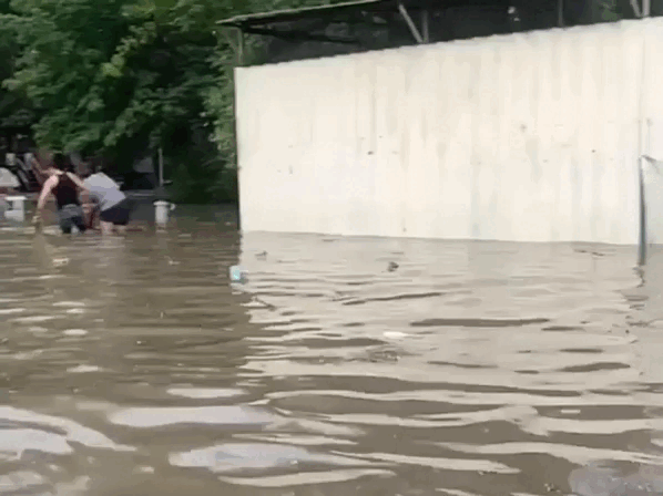 Кадр из видео