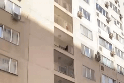 Фото: Кадр видео