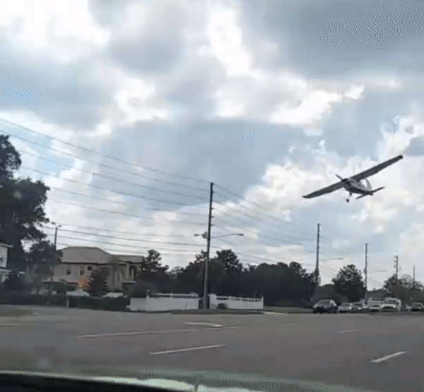 Gif - изображение