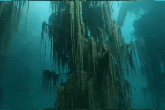 Кадр из видео