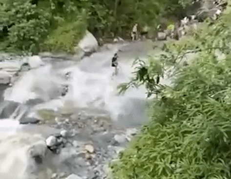 Gif - изображение