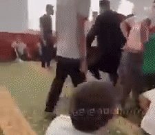 Gif - изображение