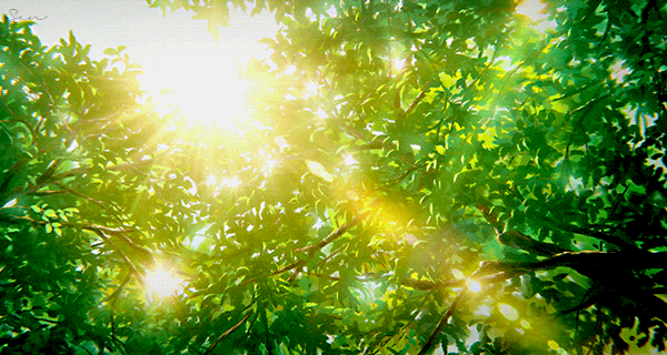 Gif - изображение