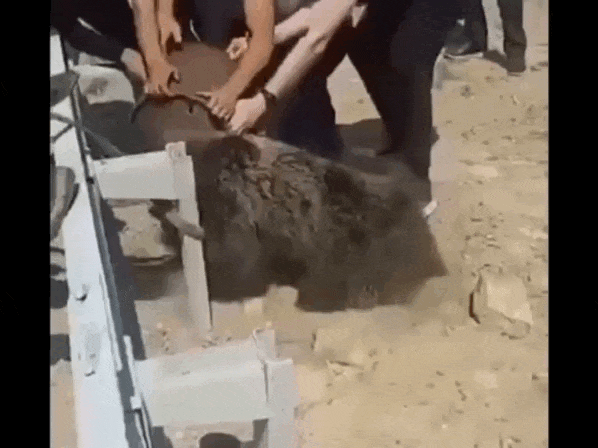 Кадр из видео