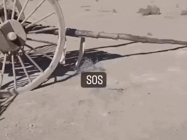 Кадр из видео