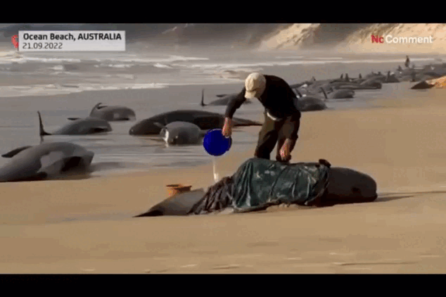 Кадр из видео