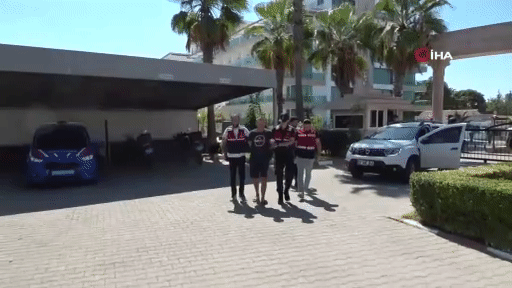 Gif - изображение