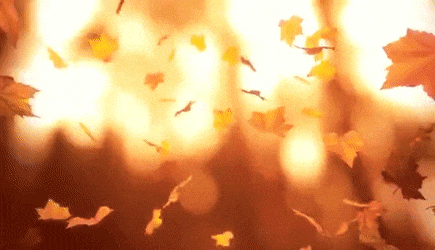 Gif - изображение