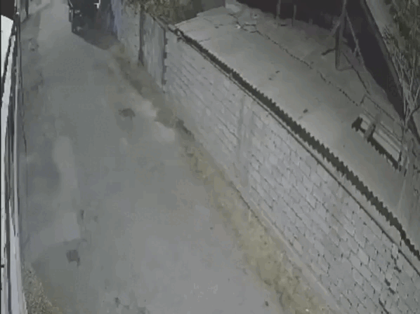 Кадр из видео