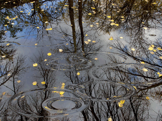 Gif - изображение