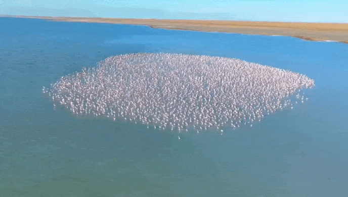 Кадр из видео