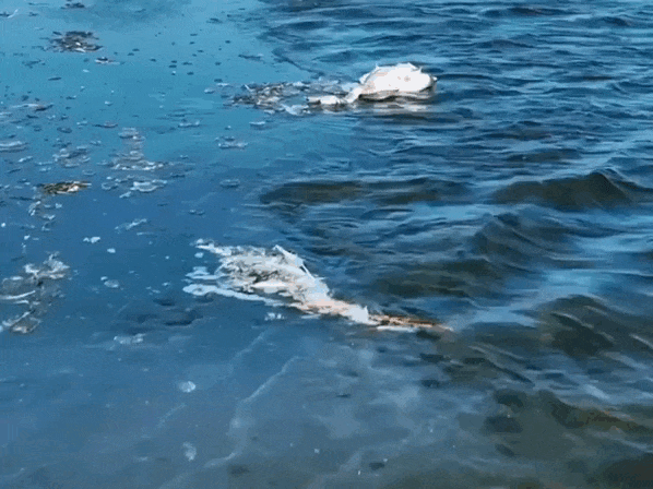 Кадр из видео