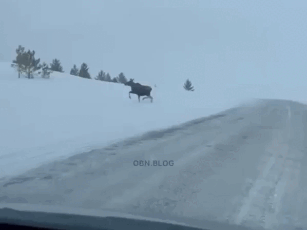 Кадр из видео